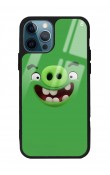 iPhone 13 Pro Max Green Angry Birds Tasarımlı Glossy Telefon Kılıfı