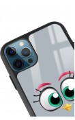 iPhone 13 Pro Max Grey Angry Birds Tasarımlı Glossy Telefon Kılıfı
