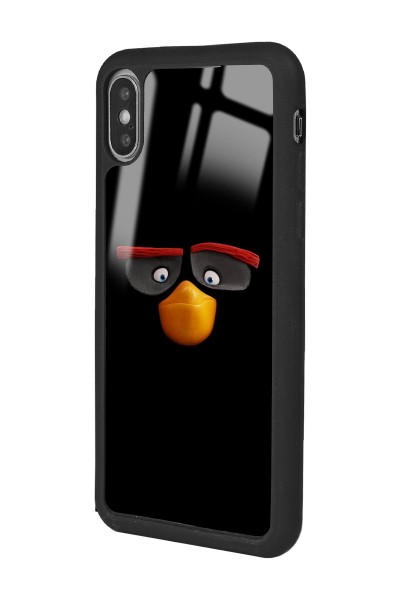 iPhone X - Xs Black Angry Birds Tasarımlı Glossy Telefon Kılıfı
