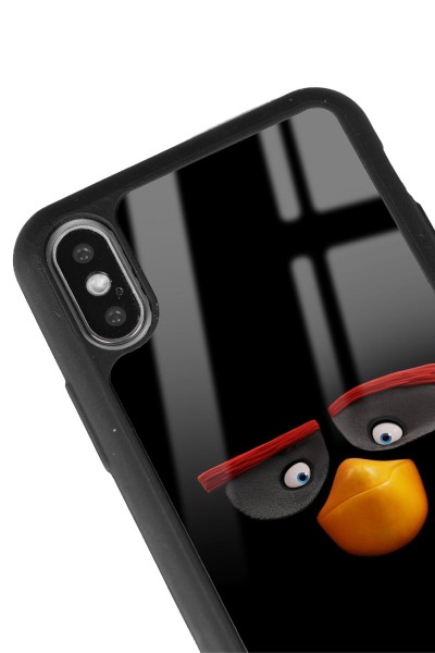 iPhone X - Xs Black Angry Birds Tasarımlı Glossy Telefon Kılıfı