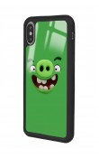 iPhone X - Xs Green Angry Birds Tasarımlı Glossy Telefon Kılıfı