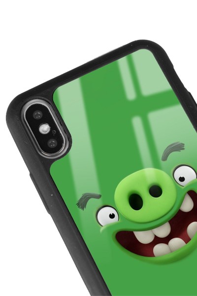 iPhone X - Xs Green Angry Birds Tasarımlı Glossy Telefon Kılıfı